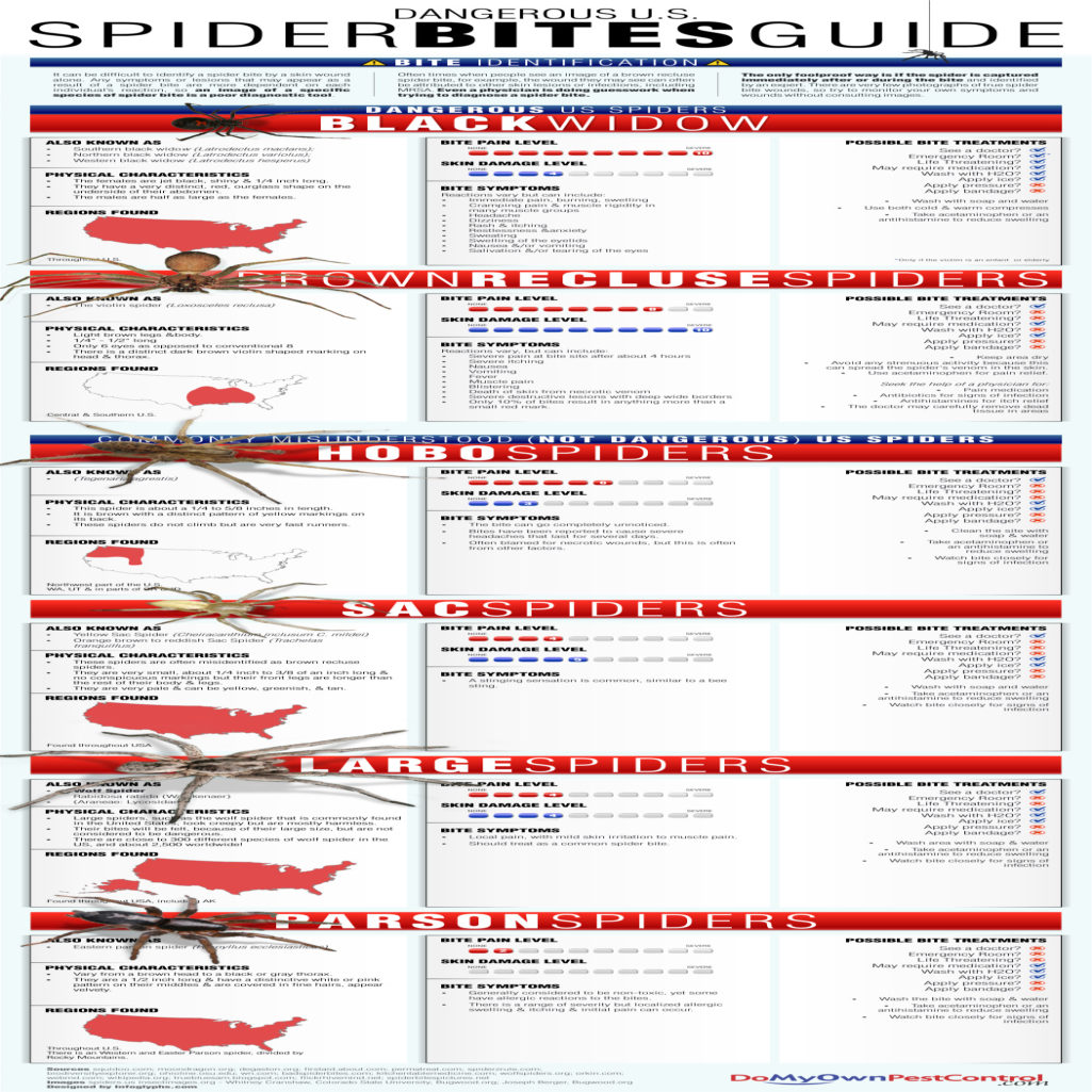 Different Spider Bites Chart