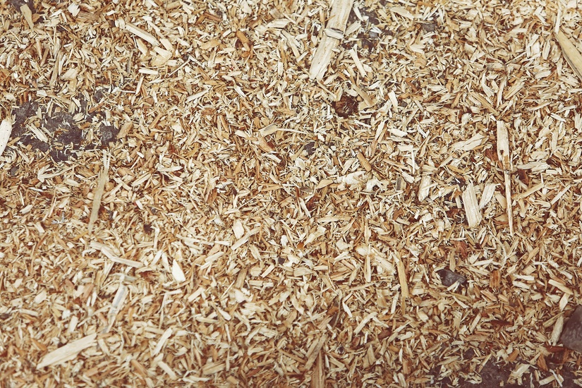 wood-chips- Termites