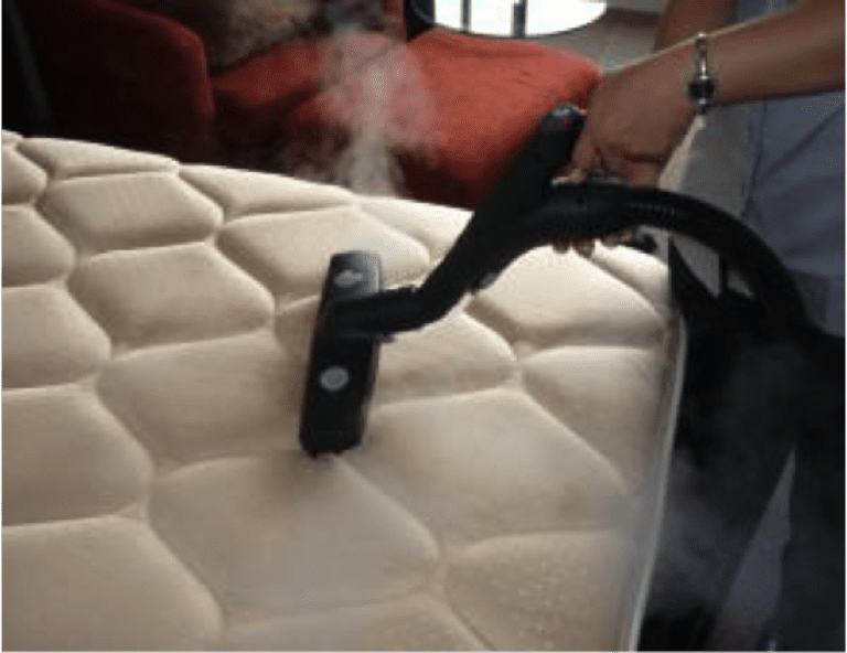 Using Steam To Get Rid Of Bed Bugs Home of Absolute Pest Control