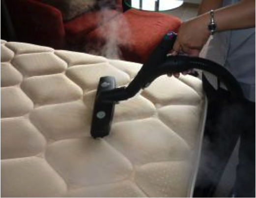 steam treatment for bed bugs