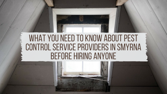 What You Need To Know About Pest Control Service Providers In Smyrna Before Hiring