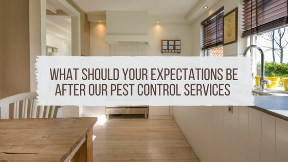 What Should Your Expectations Be After Pest Control Services In Murfreesboro