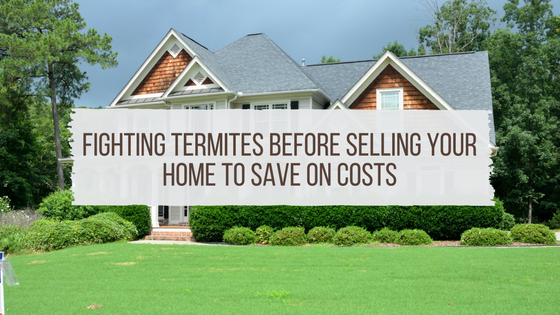 Fighting Termites Before Selling Your Home To Save On Costs