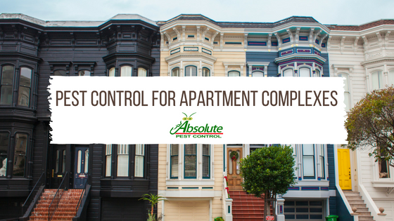 Pest Control for Apartment Complexes