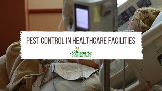Pest Control in Healthcare Facilities