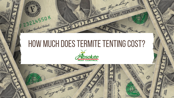 How Much Does Termite Tenting Cost?