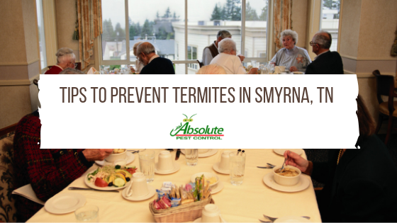 Tips To Prevent Termites In Smyrna, TN