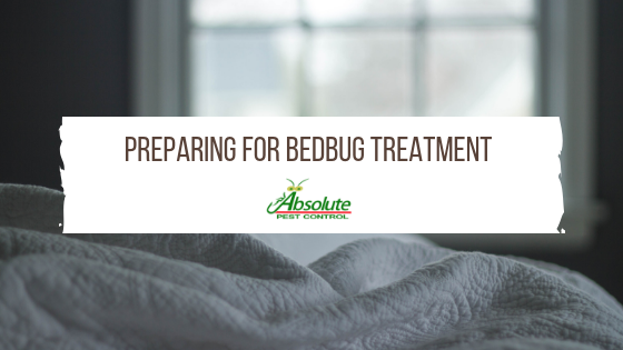 Preparing For Bedbug Treatment