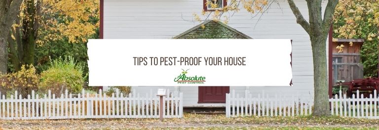 Tips to Pest-Proof Your House
