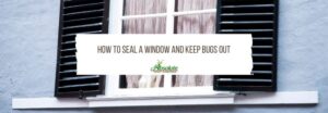 How To Seal A Window And Keep Bugs Out