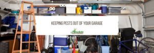 Keeping Pests Out of Your Garage