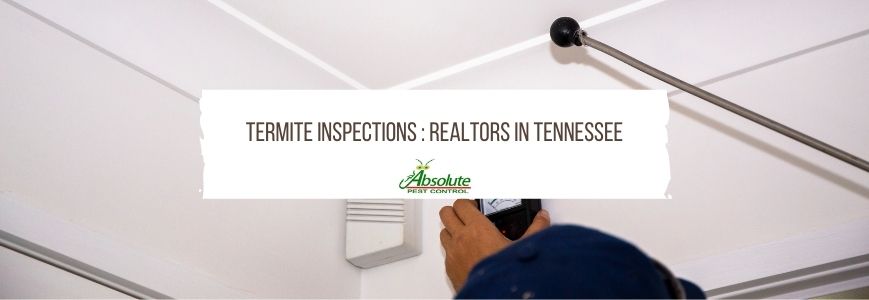 Termite Inspections : Realtors In Tennessee