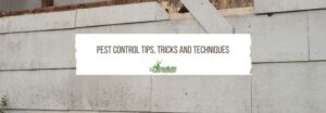 APC Pest Control Tips, Tricks And Techniques