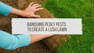 Banishing Pesky Pests To Create A Lush Lawn Blog