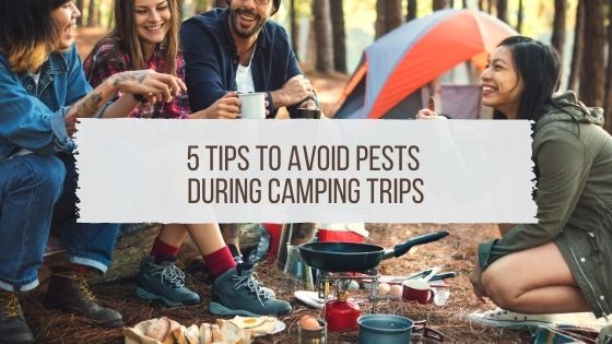 5 Tips to Avoid Pests During Camping Trips