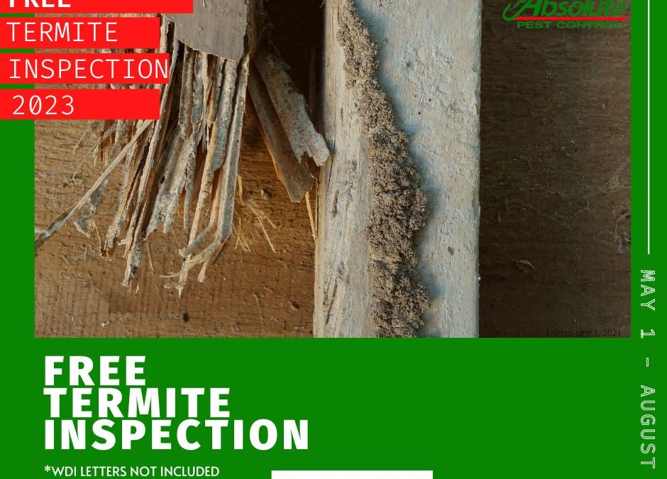 free termite inspection coupon