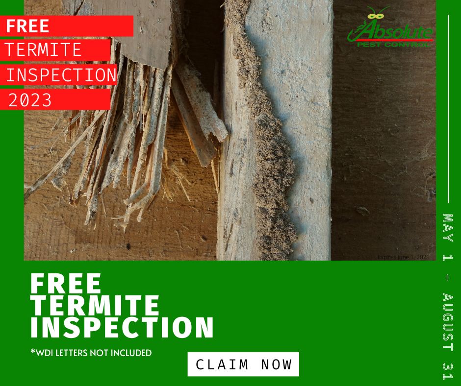 free termite inspection coupon