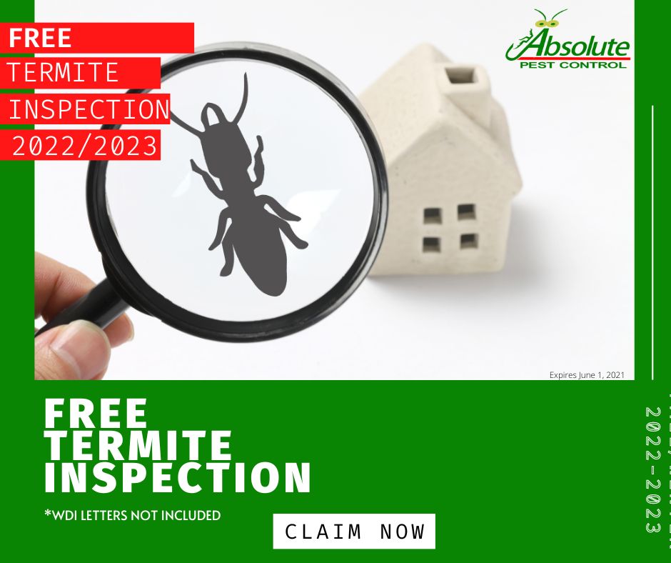 APC free termite inspection v1 2022