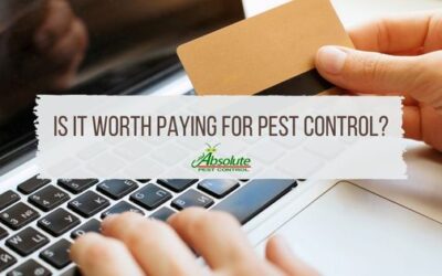 Is It Worth Paying For Pest Control?