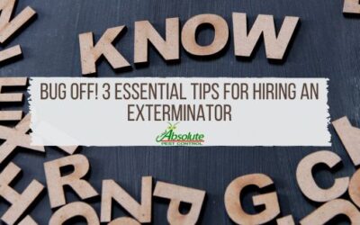 3 Things to Know Before Calling an Exterminator