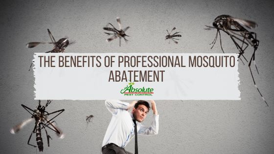 The Benefits of Professional Mosquito Abatement
