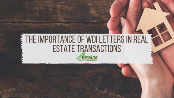 The Importance of WDI Letters in Real Estate Transactions