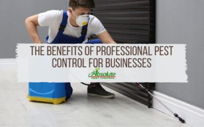 The Benefits of Professional Pest Control for Businesses