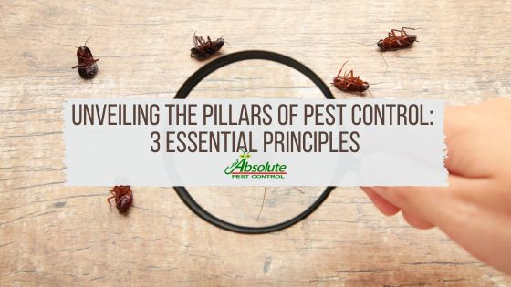 Unveiling the Pillars of Pest Control: 3 Essential Principles