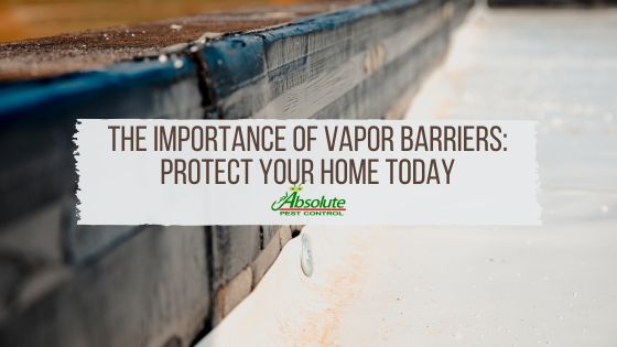 The Importance of Vapor Barriers