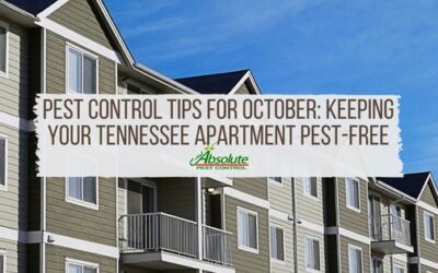 Pest Control Tips for October: Keeping Your Tennessee Apartment Pest-Free
