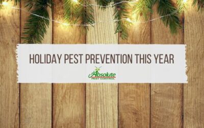 Holiday Pest Prevention This Year