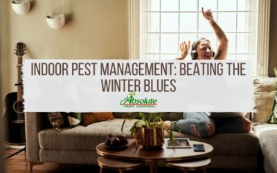 Indoor Pest Management: Beating the Winter Blues