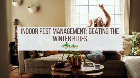 Indoor Pest Management: Beating the Winter Blues