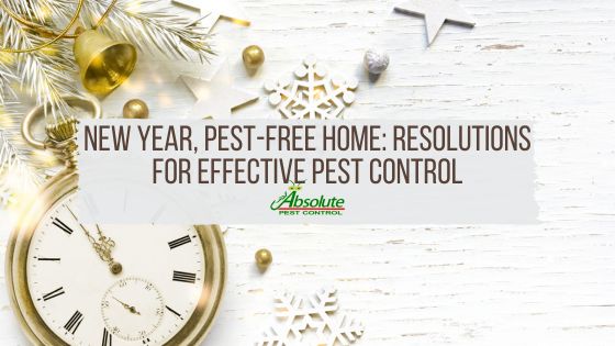 New Year, Pest-Free Home Resolutions for Effective Pest Control