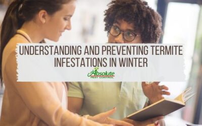 The Silent Invaders: Understanding and Preventing Termite Infestations in Winter