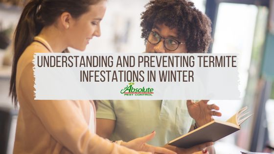 The Silent Invaders Understanding and Preventing Termite Infestations in Winter APC Blog