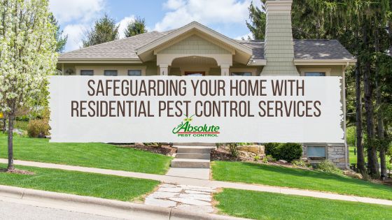 Blog Safeguarding Your Home with Residential Pest Control Services
