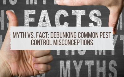 Myth vs. Fact: Debunking Common Pest Control Misconceptions