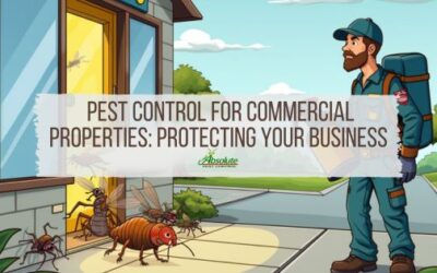 Pest Control for Commercial Properties: Protecting Your Business