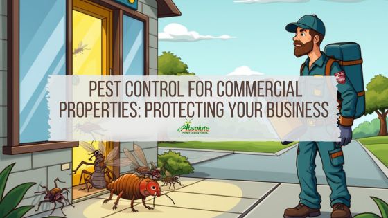 APC Pest Control for Commercial Properties Protecting Your Business Blog