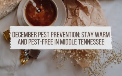 December Pest Prevention: Stay Warm and Pest-Free in Middle Tennessee