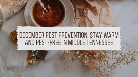 December Pest Prevention: Stay Warm and Pest-Free in Middle Tennessee