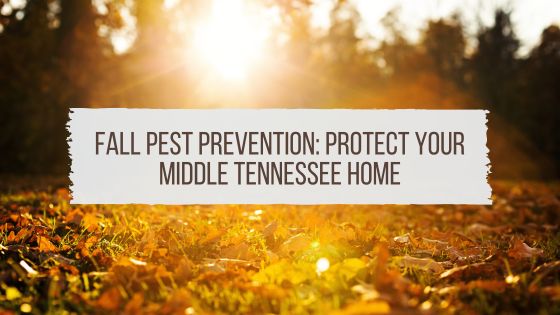 Fall Pest Prevention: Protect Your Middle Tennessee Home