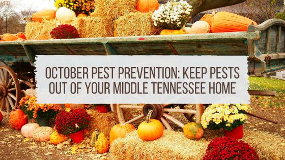 October Pest Prevention: Keep Pests Out of Your Middle Tennessee Home