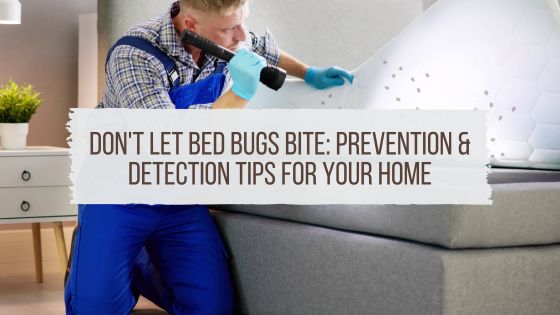 Bed Bug Prevention & Detection Tips for Your Home