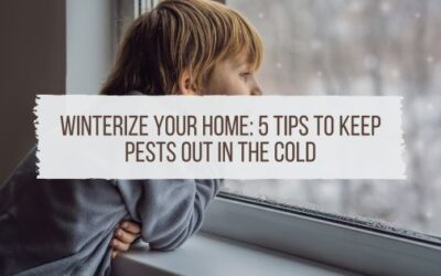 Winterize Your Home: 5 Tips to Keep Pests Out in the Cold