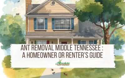Ant Removal Middle Tennessee : A Guide