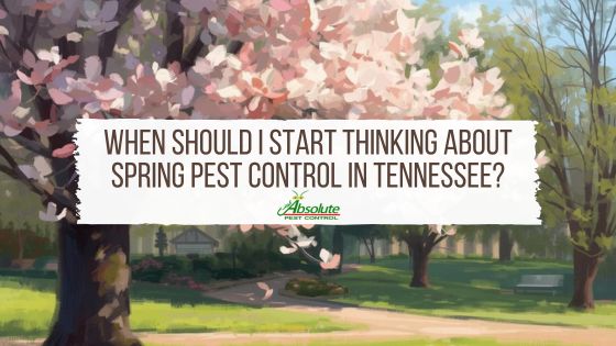 Preparing for a Pest-Free Spring