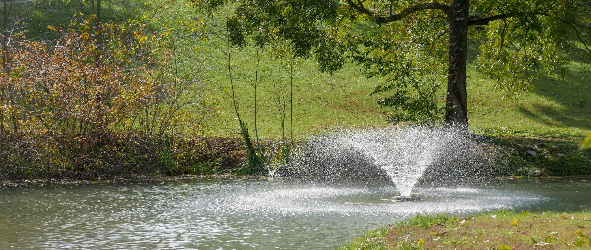 Antioch, Tennessee lake and natural landscape near Percy Priest Lake